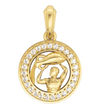 Aquarius Charm in Gold - Jewelslane