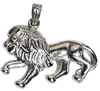 Protective Lion Charm - Jewelslane