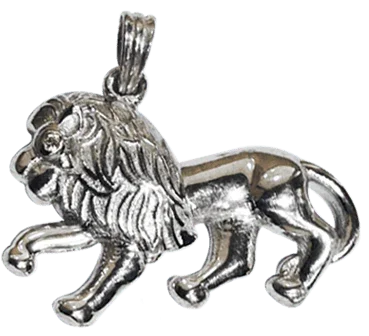 Protective Lion Charm - Jewelslane