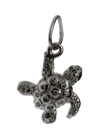 Tortoise Treasure Hunter Charm - Jewelslane