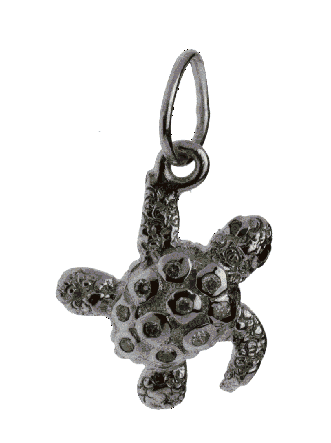 Tortoise Treasure Hunter Charm - Jewelslane