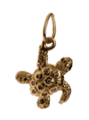 Treasure Hunter Tortoise charm - Jewelslane
