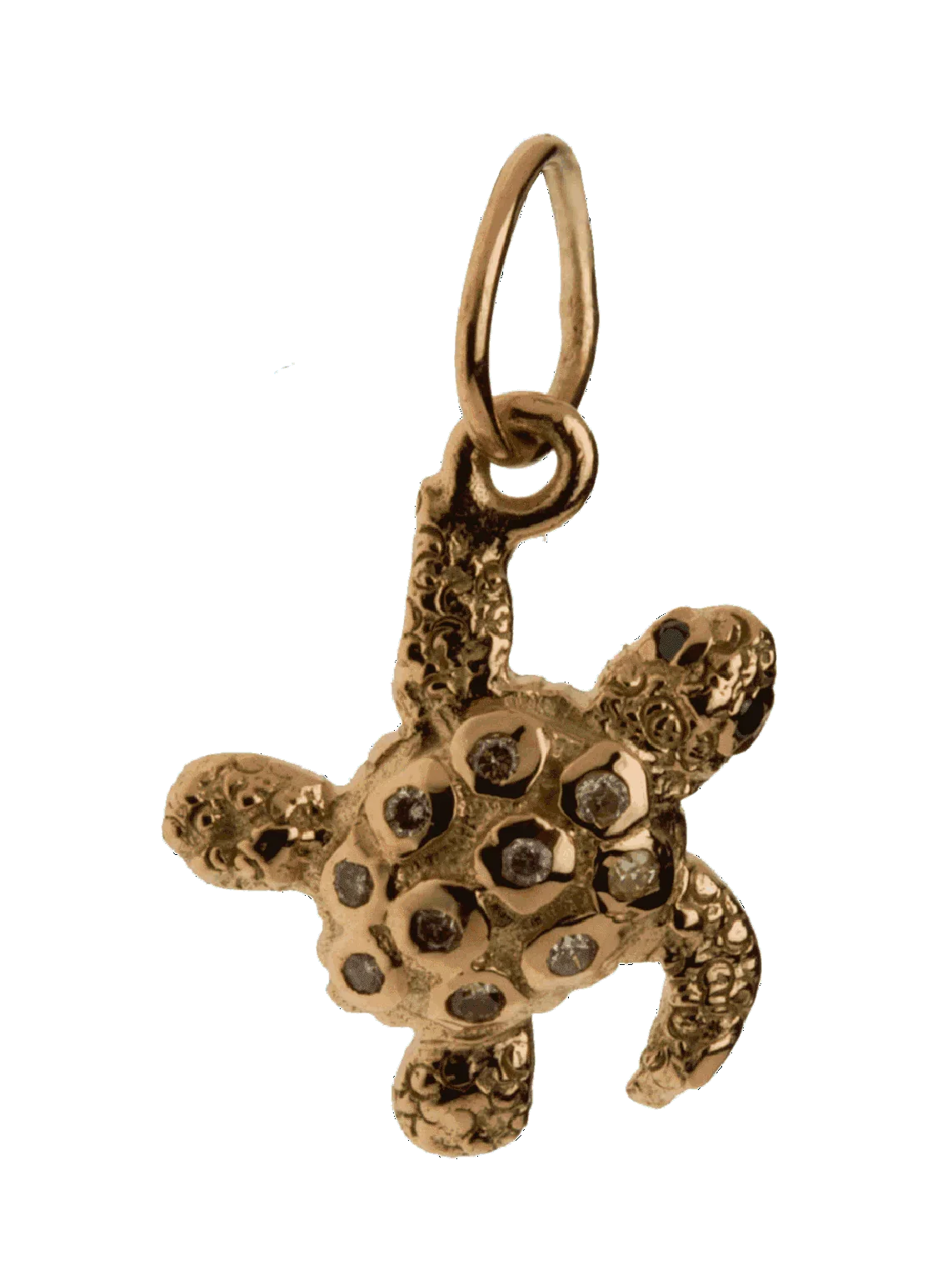 Treasure Hunter Tortoise charm - Jewelslane