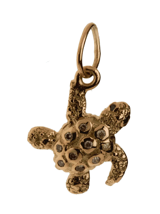 Treasure Hunter Tortoise charm - Jewelslane