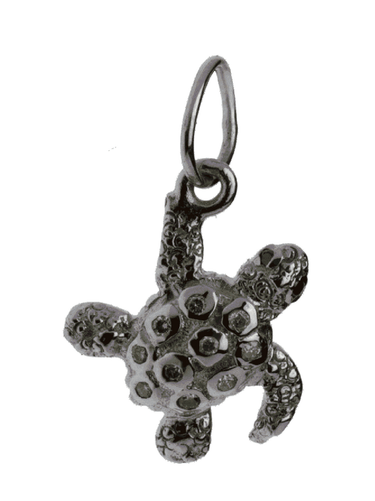 Tortoise Treasure Hunter Charm - Jewelslane