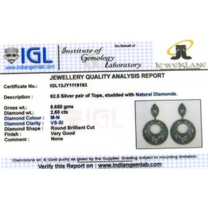 Diamond Earrings in Silver