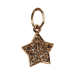 Star of My Life Charm