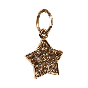 Star of My Life Charm