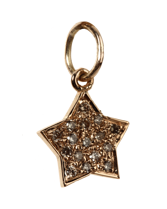 Star of My Life Charm