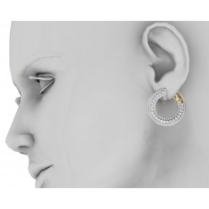 Appealing Diamond Hoops