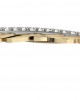 Feather Earring In Gold with diamonds