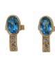 Blue Topaz Earring