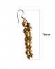 Gold Plated Silver dangle earrings