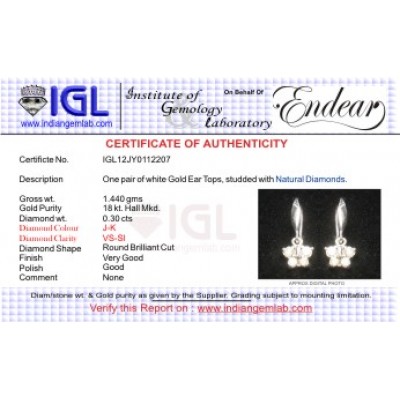 Diamond Butterflies Earring in White Gold