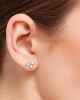 Nova Diamond Studs in 14k  Gold