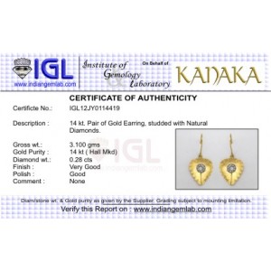 Gold Earring with Diamond