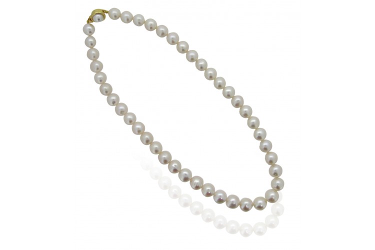 best price pearl necklace