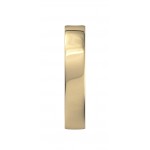 Sarvesh Single Diamond Band