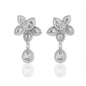 Aadita Exquisite Zircon Earrings