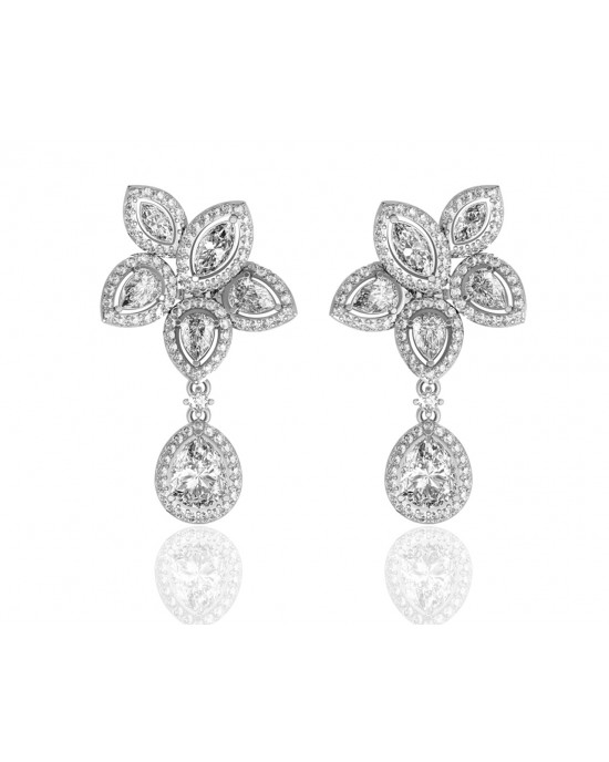 Aadita Exquisite Zircon Earrings