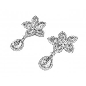 Aadita Exquisite Zircon Earrings